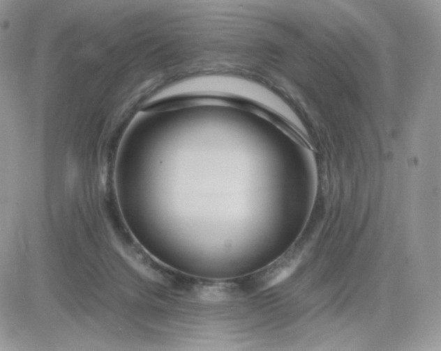 X0000081430072200701261833