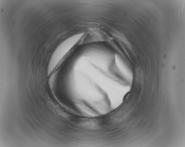 X0000081430073200701261833