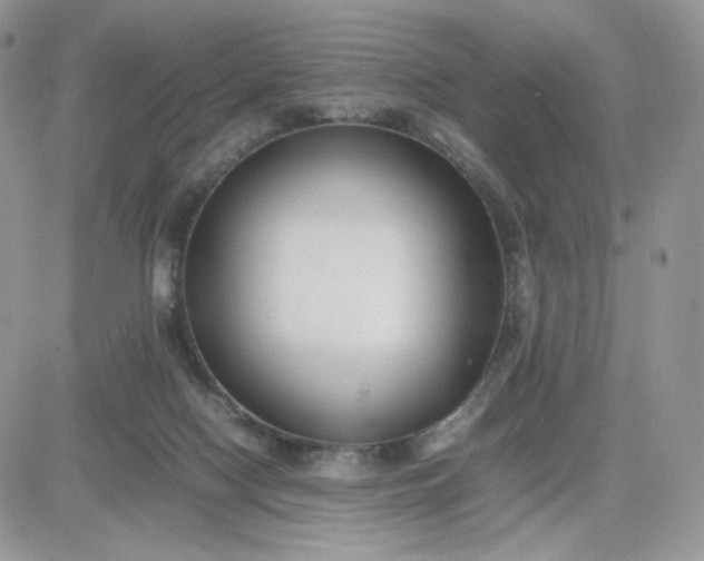 X0000081430074200701261833