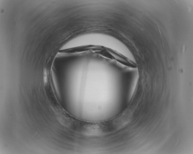 X0000081430075200701261833