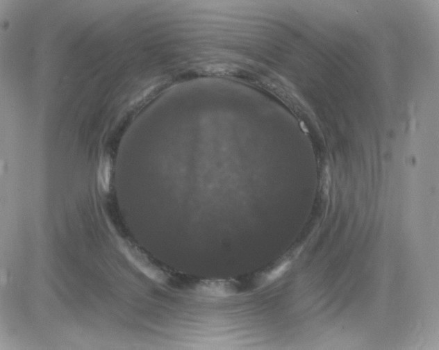 X0000081430076200701261833