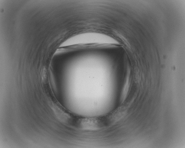 X0000081430077200701261833