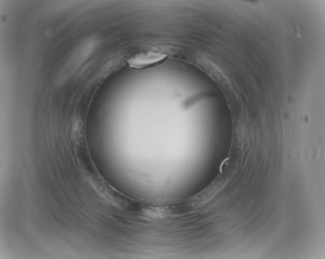 X0000081430079200701261833