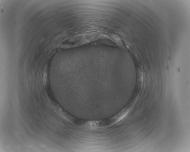 X0000081430080200701261833