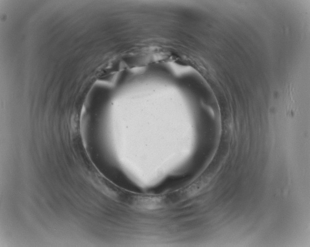 X0000081430081200701261833