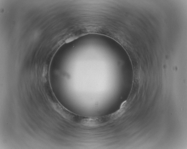 X0000081430082200701261833