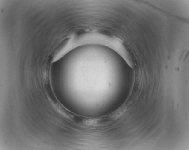 X0000081430084200701261833