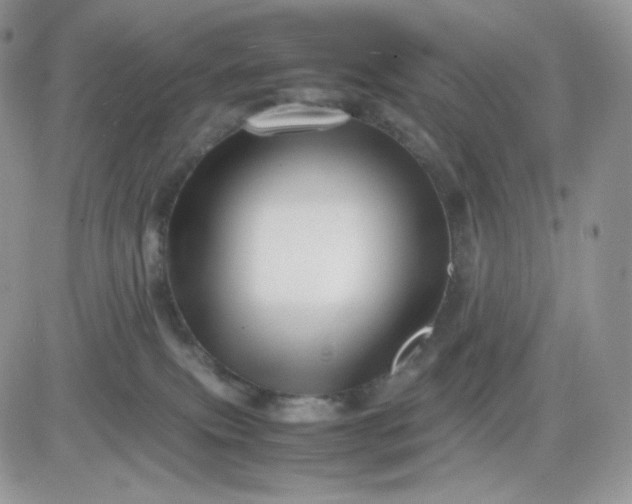 X0000081430087200701261833