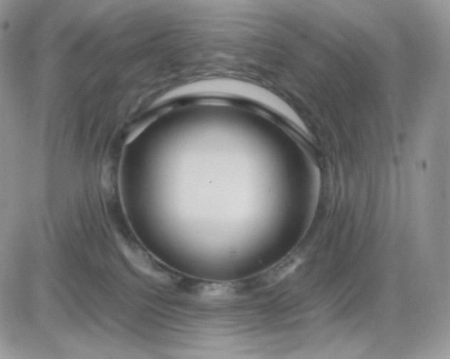 X0000081430088200701261833