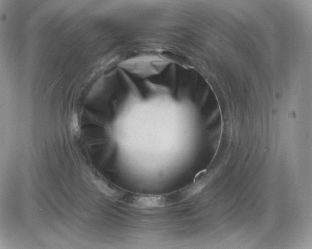 X0000081430089200701261833