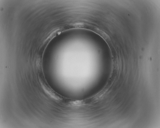 X0000081430092200701261833