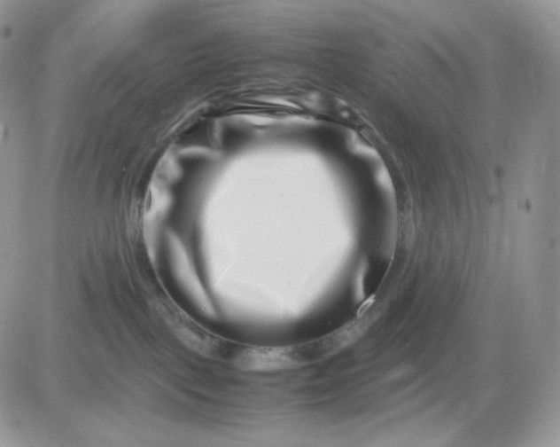 X0000081430093200701261833