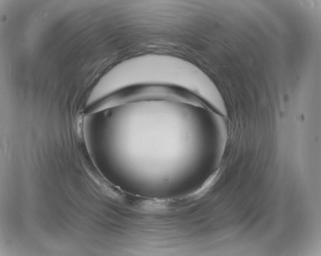 X0000081430094200701261833