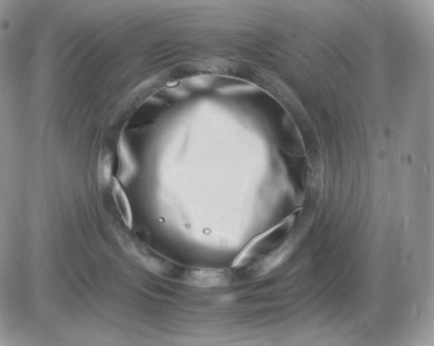 X0000081430095200701261833