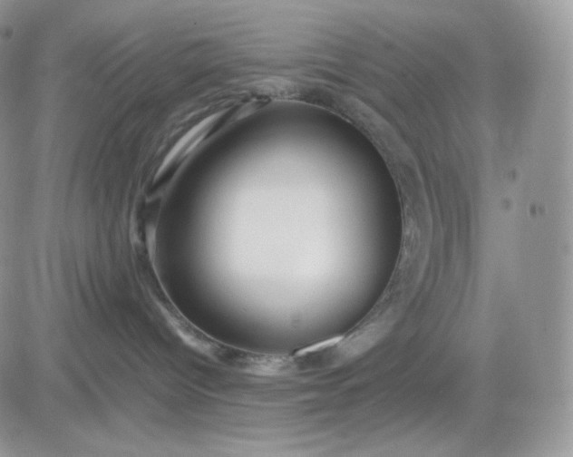 X0000081430096200701261833