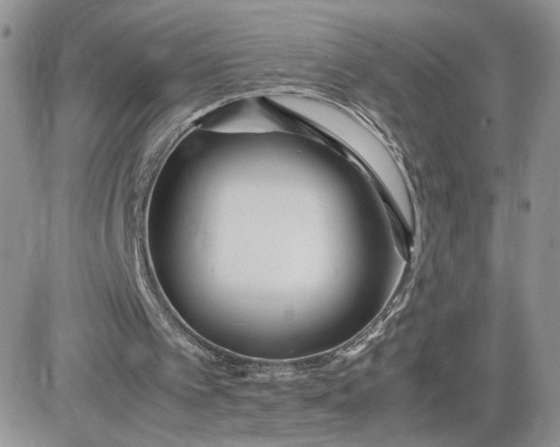 X0000081430097200701261833