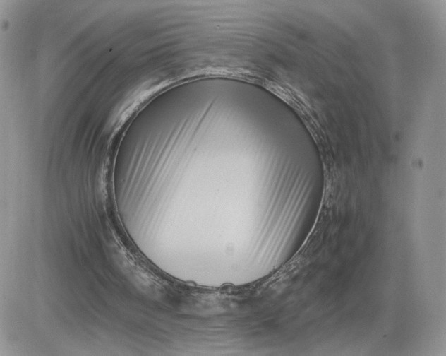 X0000081430098200701261833