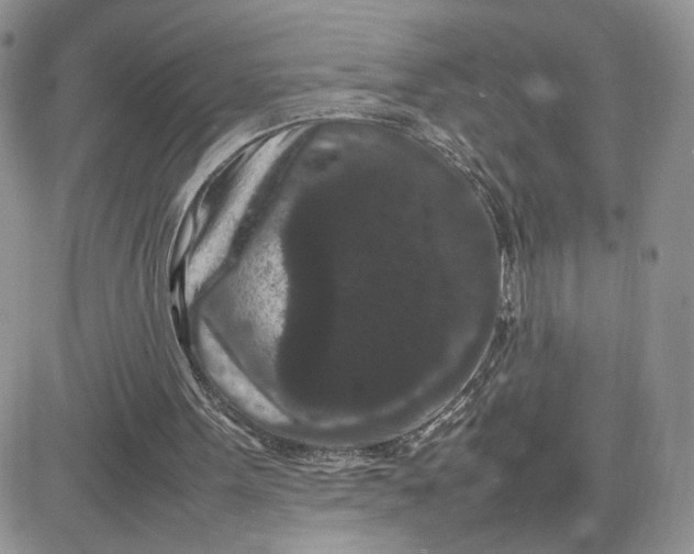 X0000081430099200701261833