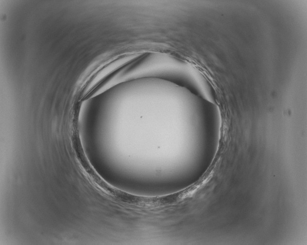 X0000081430101200701261832