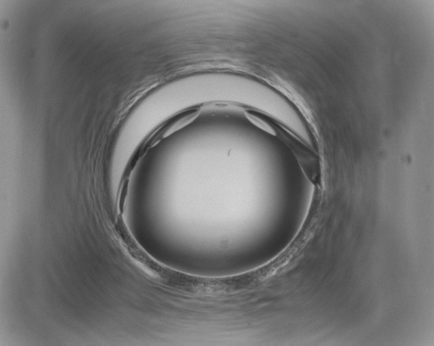 X0000081430105200701261832