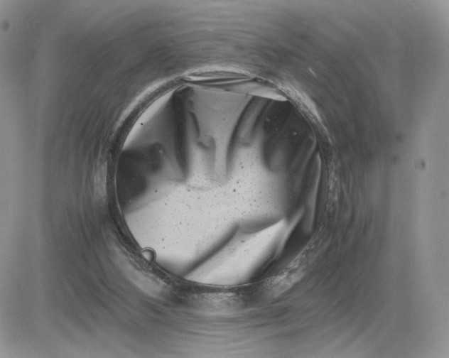 X0000081430108200701261832