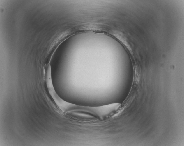 X0000081430109200701261832