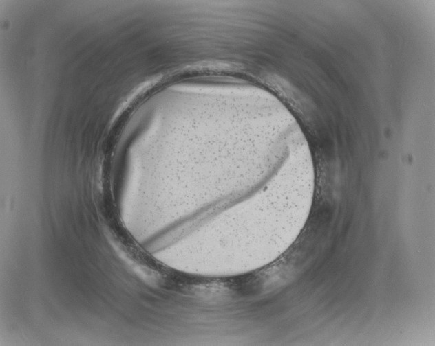 X0000081430112200701261832