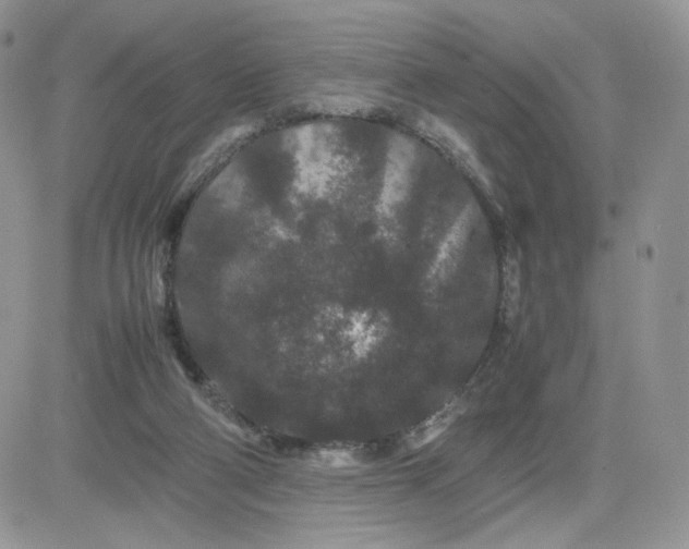 X0000081430114200701261832