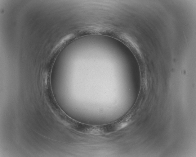 X0000081430115200701261832