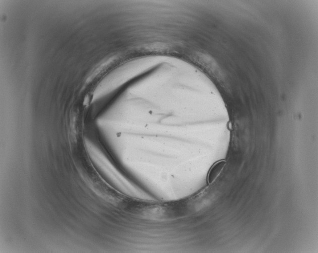 X0000081430116200701261832