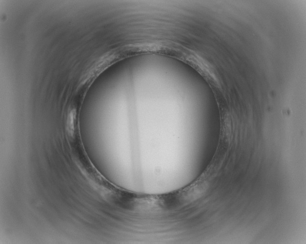 X0000081430118200701261832