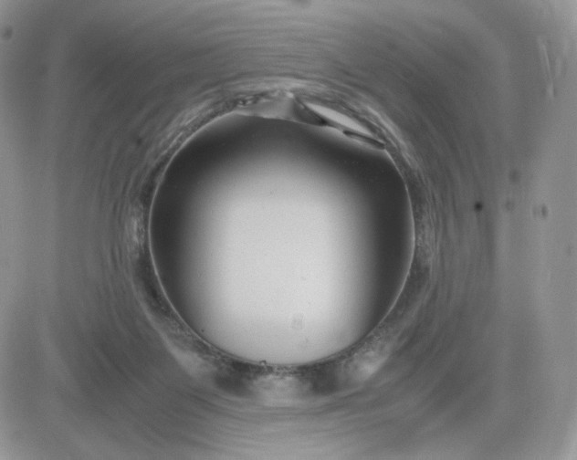 X0000081430119200701261832