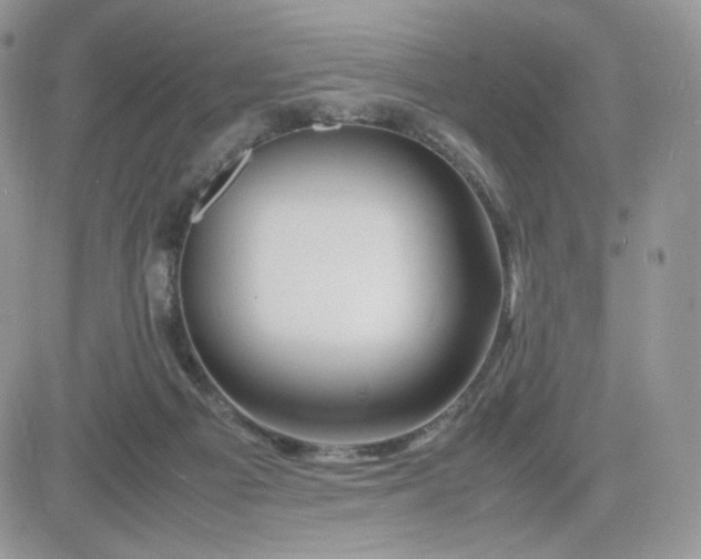 X0000081430121200701261832