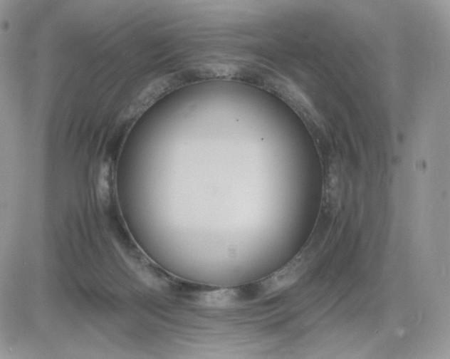 X0000081430122200701261832