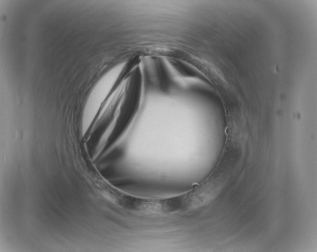 X0000081430123200701261832