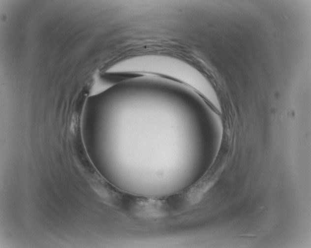 X0000081430125200701261832