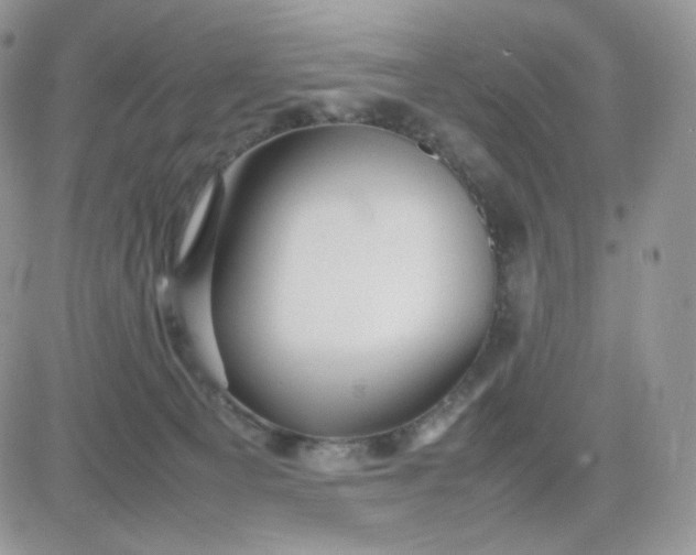 X0000081430129200701261832