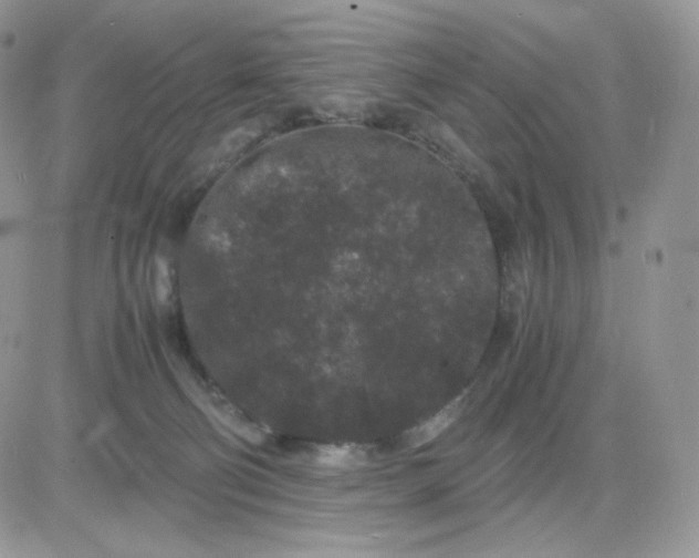 X0000081430130200701261832