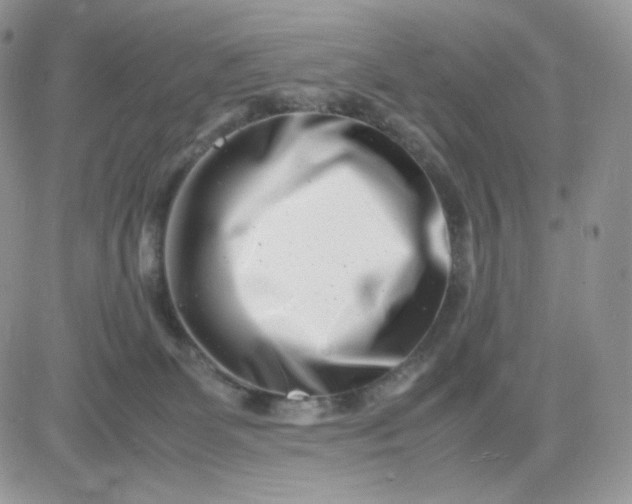 X0000081430131200701261832