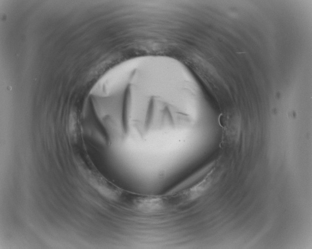 X0000081430132200701261832