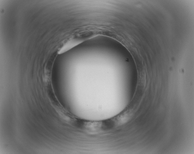 X0000081430135200701261832