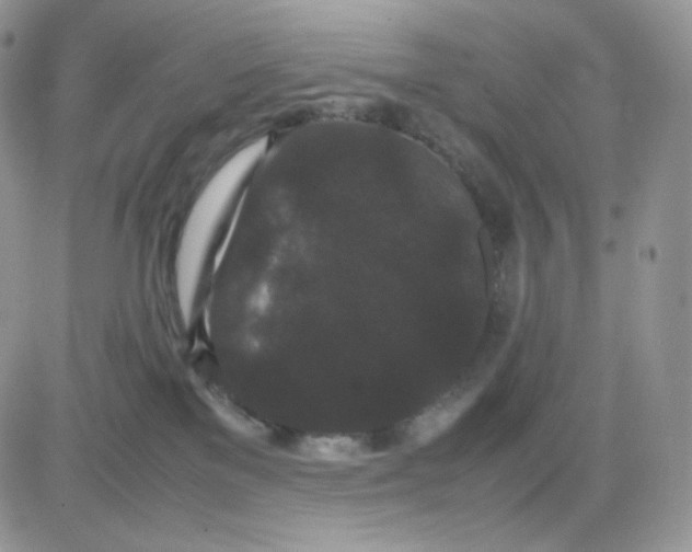 X0000081430137200701261832