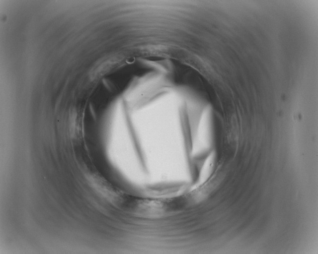 X0000081430140200701261832