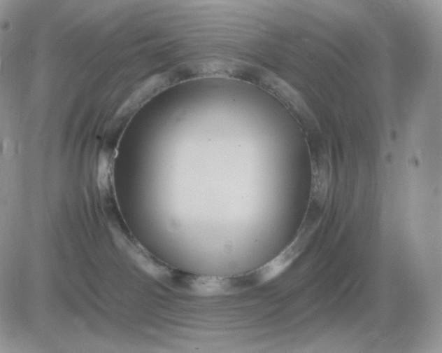 X0000081430142200701261832