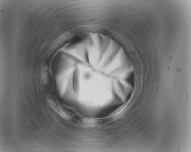 X0000081430144200701261832