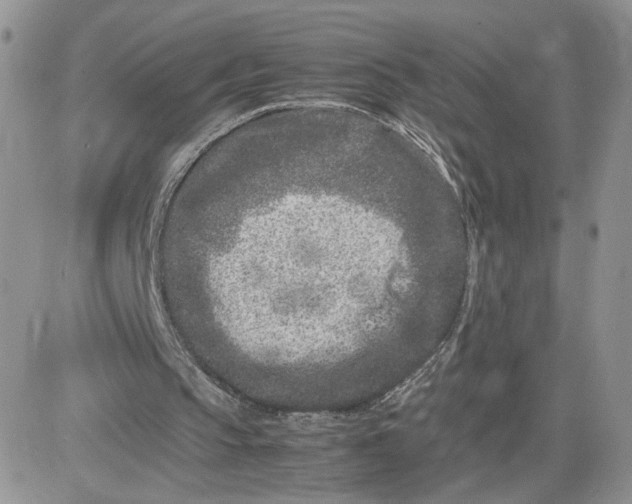 X0000081430145200701261831