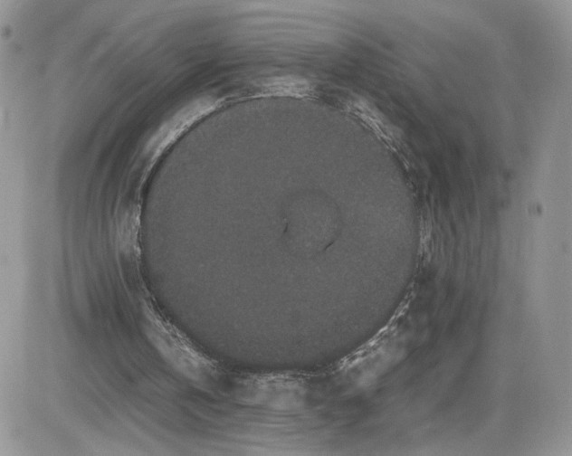 X0000081430146200701261831