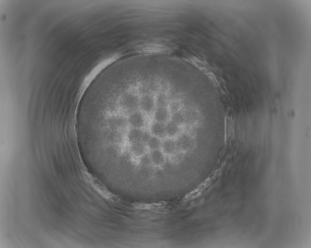 X0000081430147200701261831