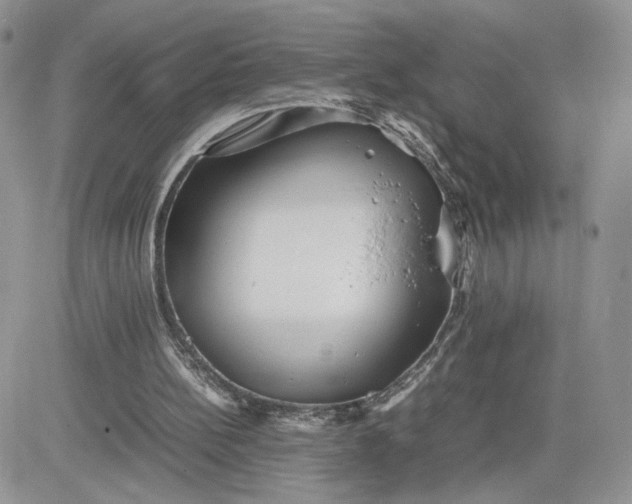 X0000081430148200701261831