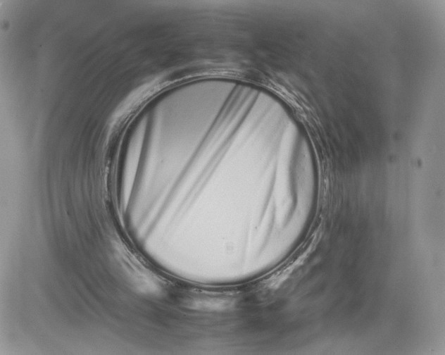 X0000081430149200701261831